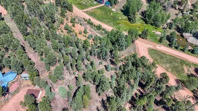 244 Spring Valley Lane Florissant, CO 80816