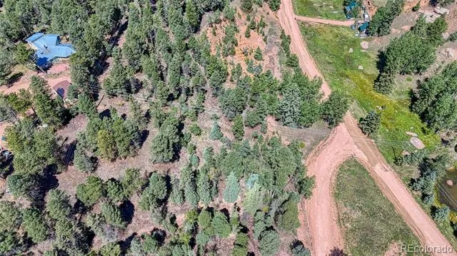 244 Spring Valley Lane Florissant, CO 80816