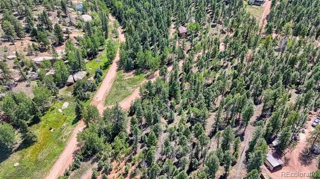 244 Spring Valley Lane Florissant, CO 80816