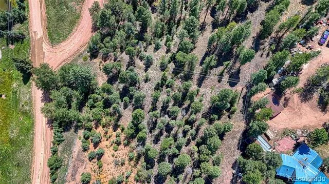 244 Spring Valley Lane Florissant, CO 80816