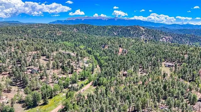 244 Spring Valley Lane Florissant, CO 80816