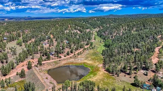 244 Spring Valley Lane Florissant, CO 80816
