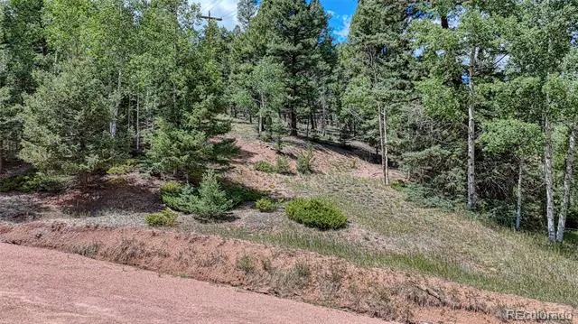 244 Spring Valley Lane Florissant, CO 80816