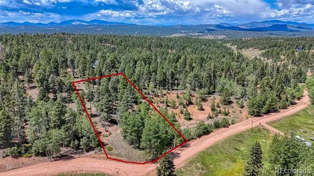 244 Spring Valley Lane Florissant, CO 80816