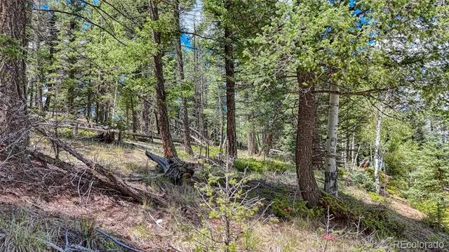 244 Spring Valley Lane Florissant, CO 80816