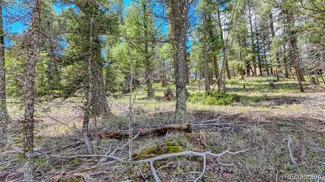 244 Spring Valley Lane Florissant, CO 80816