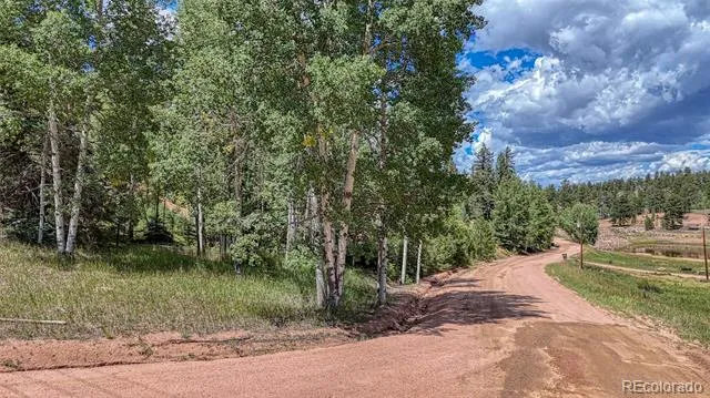 244 Spring Valley Lane Florissant, CO 80816