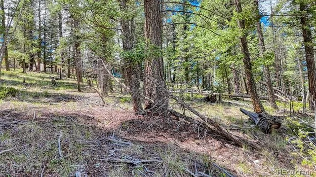 244 Spring Valley Lane Florissant, CO 80816