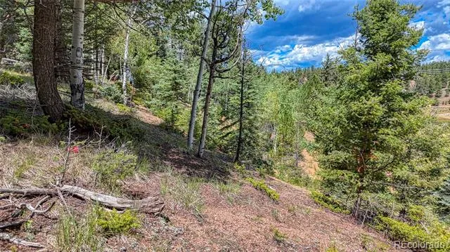 244 Spring Valley Lane Florissant, CO 80816