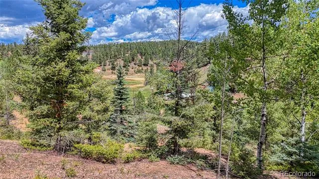 244 Spring Valley Lane Florissant, CO 80816
