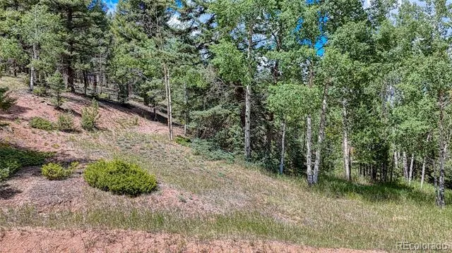 244 Spring Valley Lane Florissant, CO 80816