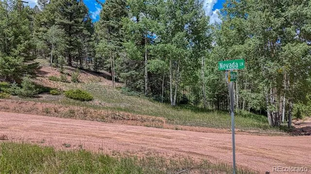 244 Spring Valley Lane Florissant, CO 80816