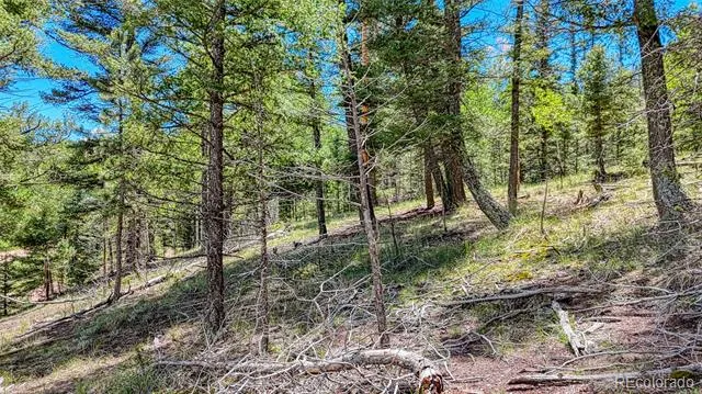 244 Spring Valley Lane Florissant, CO 80816