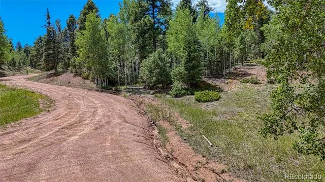 244 Spring Valley Lane Florissant, CO 80816