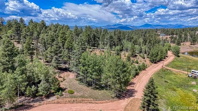 244 Spring Valley Lane Florissant, CO 80816