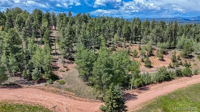 244 Spring Valley Lane Florissant, CO 80816