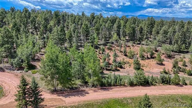 244 Spring Valley Lane Florissant, CO 80816