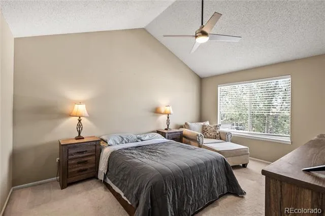 317 Wessex Circle Highlands Ranch, CO 80126