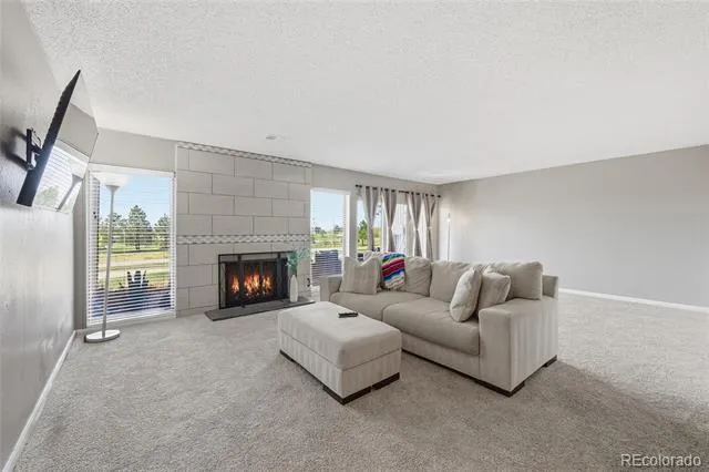 6537 Pinewood Drive #55 Parker, CO 80134