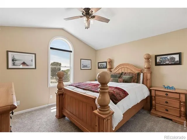 3795 Whitetail Court Mead, CO 80542