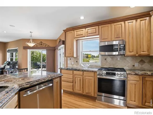 3795 Whitetail Court Mead, CO 80542