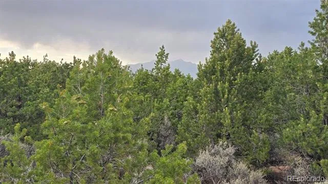 Lot 1862 Wilking Road Fort Garland, CO 81133