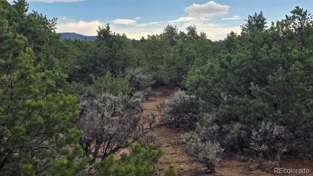 Lot 1862 Wilking Road Fort Garland, CO 81133