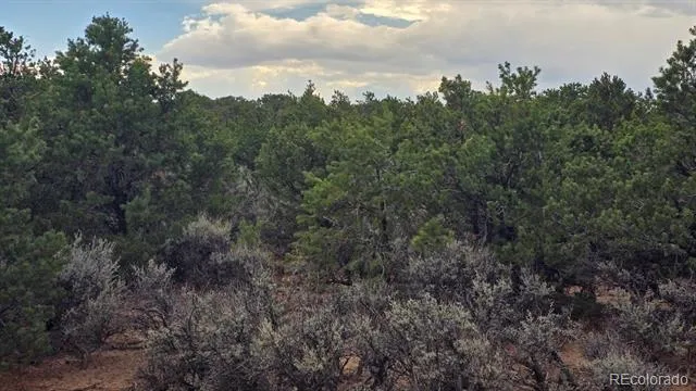 Lot 1862 Wilking Road Fort Garland, CO 81133