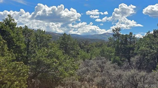 Lot 1862 Wilking Road Fort Garland, CO 81133