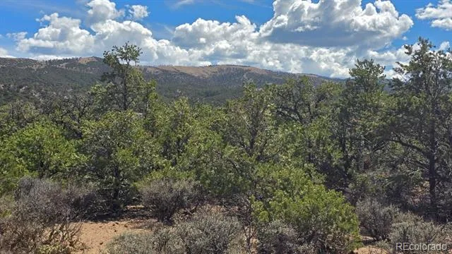 Lot 1862 Wilking Road Fort Garland, CO 81133