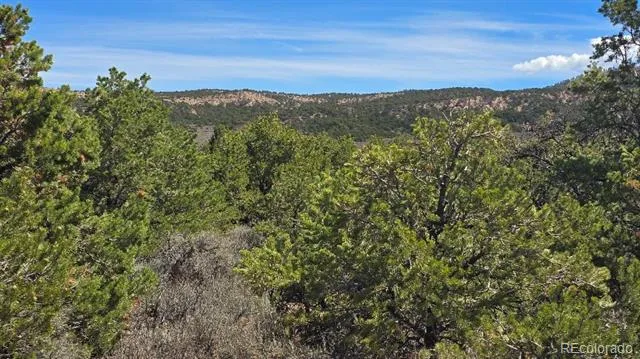 Lot 1862 Wilking Road Fort Garland, CO 81133