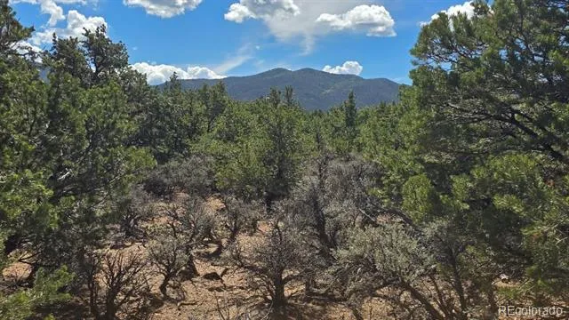 Lot 1862 Wilking Road Fort Garland, CO 81133