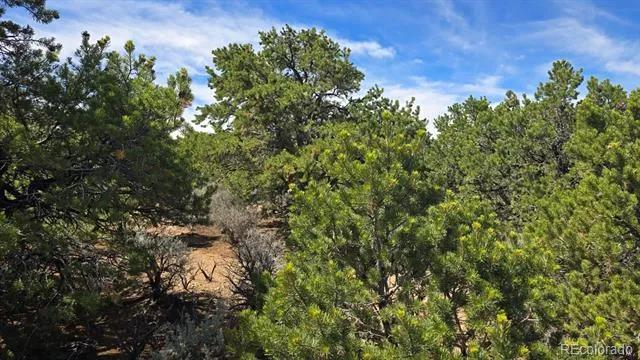 Lot 1862 Wilking Road Fort Garland, CO 81133