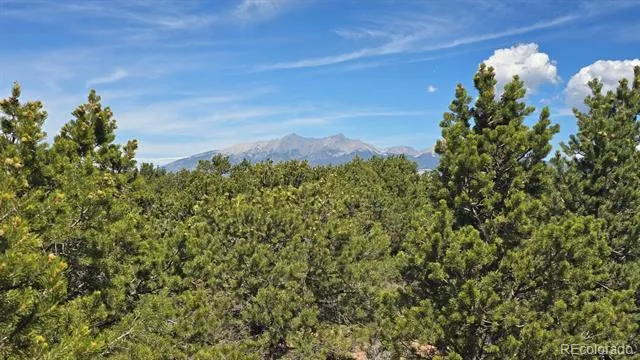 Lot 1862 Wilking Road Fort Garland, CO 81133