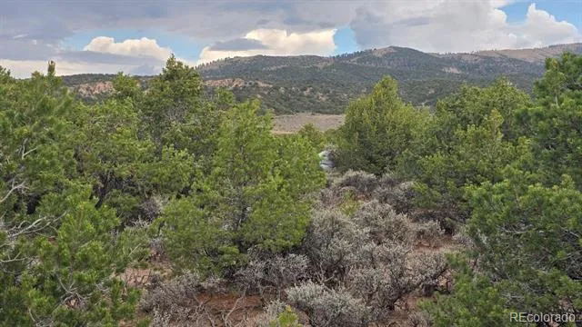 Lot 1862 Wilking Road Fort Garland, CO 81133