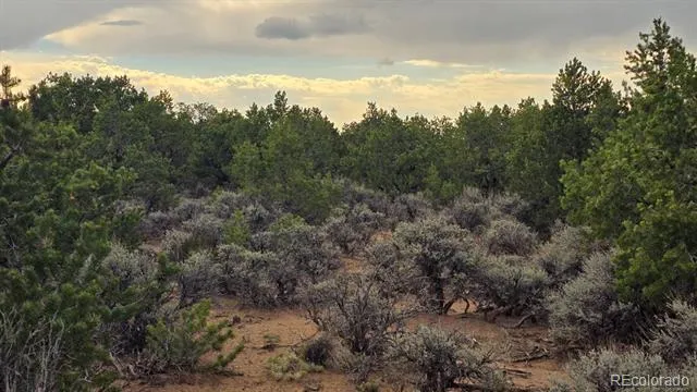 Lot 1862 Wilking Road Fort Garland, CO 81133