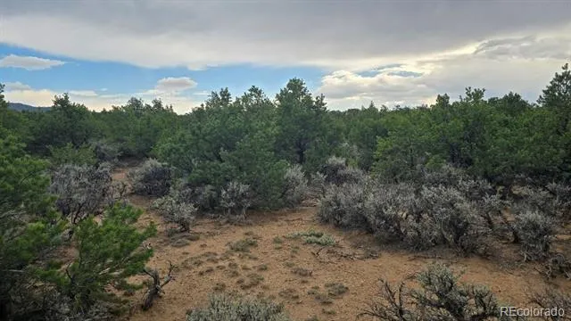 Lot 1862 Wilking Road Fort Garland, CO 81133