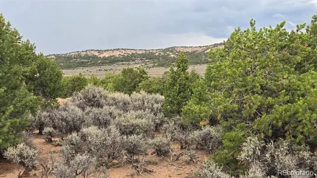 Lot 1862 Wilking Road Fort Garland, CO 81133