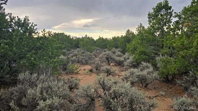 Lot 1862 Wilking Road Fort Garland, CO 81133