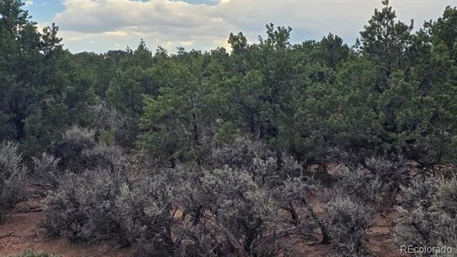 Lot 1862 Wilking Road Fort Garland, CO 81133