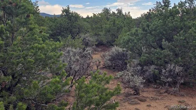 Lot 1862 Wilking Road Fort Garland, CO 81133