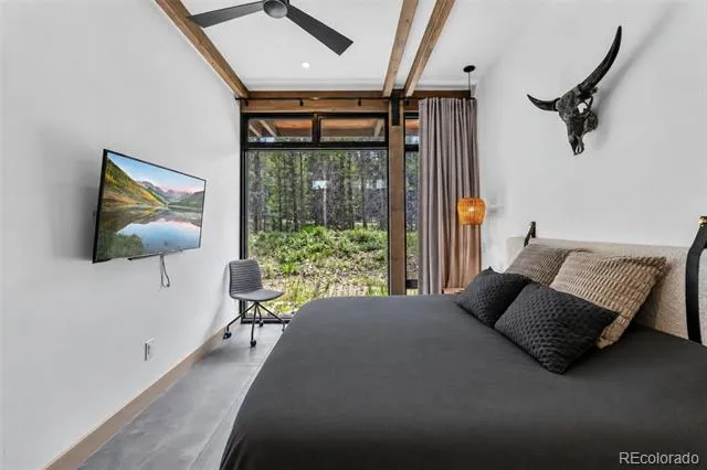 2383 Tiger Road Breckenridge, CO 80424