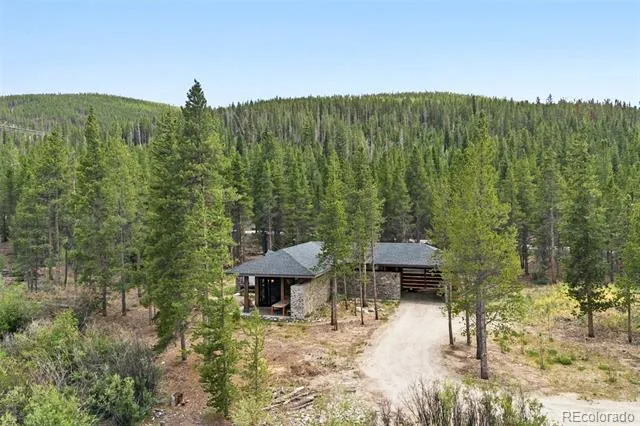 2383 Tiger Road Breckenridge, CO 80424