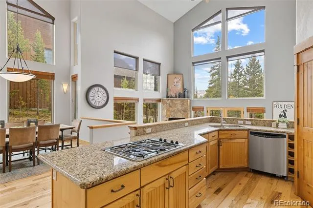 180 Emmett Lode Road Breckenridge, CO 80424