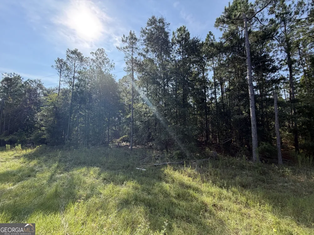 0 Fountain RD Eastman, GA 31023