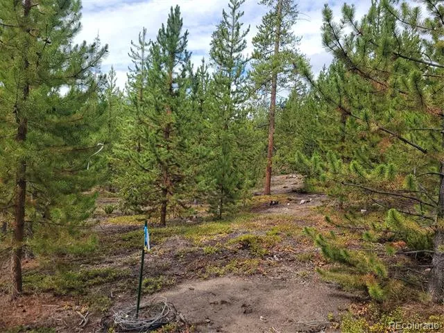 65 Grand County Road 6621 Grand Lake, CO 80447