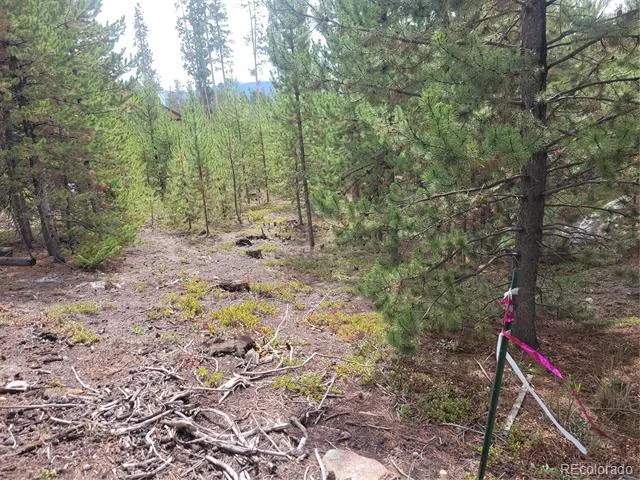 65 Grand County Road 6621 Grand Lake, CO 80447