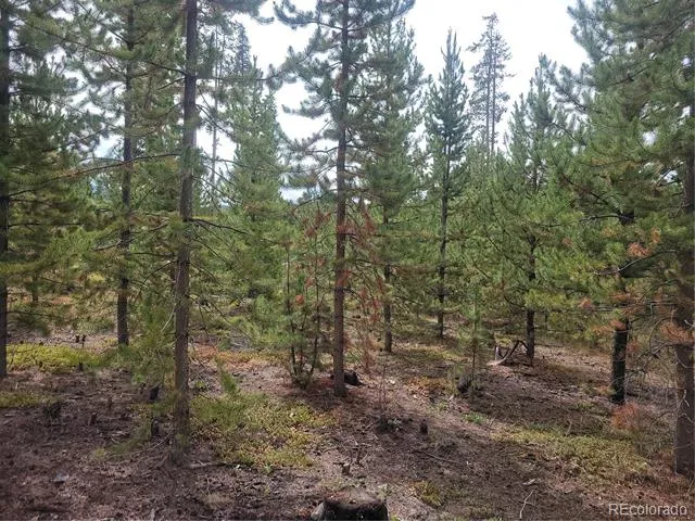 65 Grand County Road 6621 Grand Lake, CO 80447