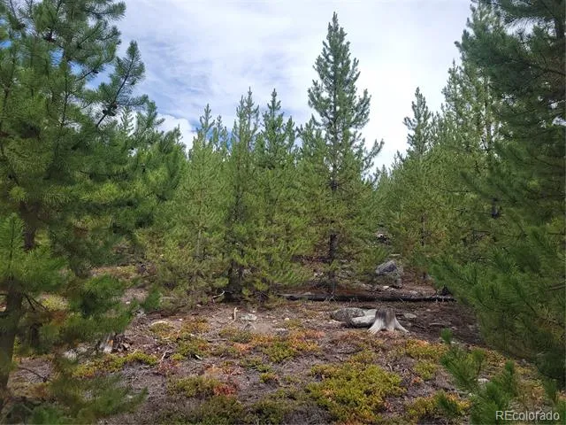 65 Grand County Road 6621 Grand Lake, CO 80447