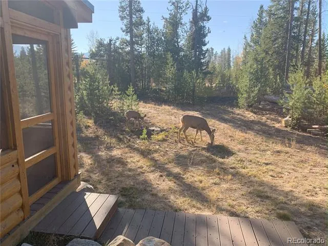 99 GCR 490 Grand Lake, CO 80447